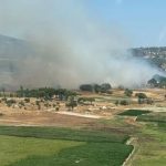 Milas'ta bir orman yangını daha – Son Dakika Türkiye Haberleri