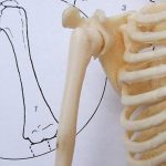 Osteoporoz riskini azaltıp kemik yorgunluğunu gideriyor: Kemik sağlığına iyi gelen 7 vitamin – Son Dakika Hayat Haberleri