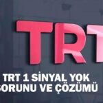 TRT 1 Sinyal Hatası Yok Nasıl Çözülür? TRT 1 frekans ayar aşamaları