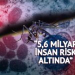 20 yıl sonra geri döndü, tedavisi yok! “5,6 milyar insan risk altında”: Chikungunya virüsü tüm dünyayı tedirgin etti