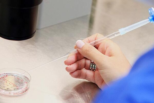 Çocuk sahibi olmak zorlaşıyor! Uzman isim sperm sayısındaki düşüşte en büyük faktörü açıkladı