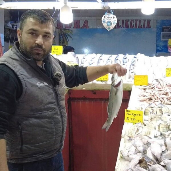 Kasım’da Pazarın Şampiyonu Yenilendi