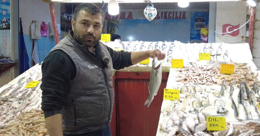 Kasım’da Pazarın Şampiyonu Yenilendi