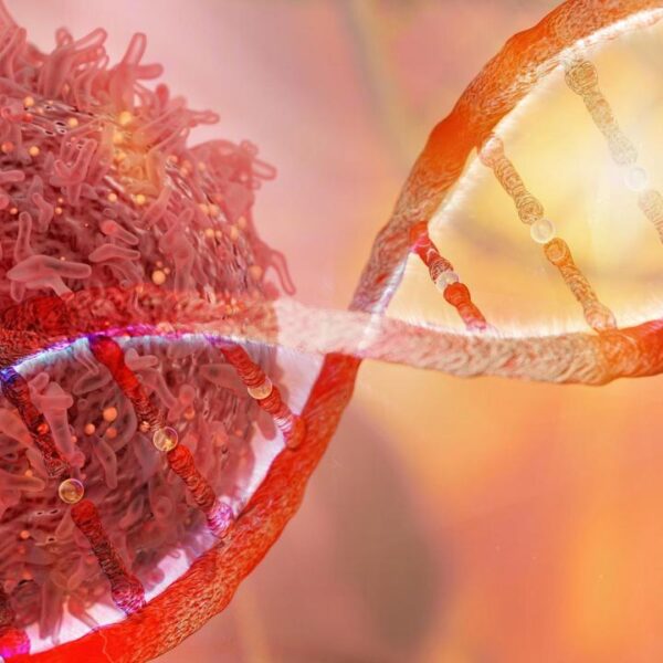 Ölümcül hastalıkların gizemi çözüldü – Son Dakika Haberleri